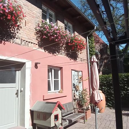 Ferienhaus In Der Historischen Altstadt Von Angermuende Angermunde Esterno foto